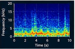 Sample acoustic capture at a valve